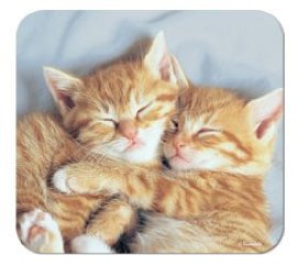 Designer Mouse Pad / Mat