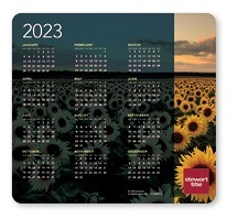 Economy Calendar Mouse Pad